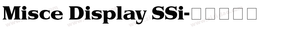 Misce Display SSi字体转换